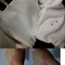 [네이트판]창원 모 여자고등학교 교사폭행 (사진 有) 이미지