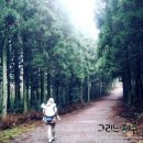 함덕의원 이미지