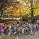 하늘숲어린이집 | 우리들 자연학교 11월 12일 시립 별숲 어린이집 수업 후기