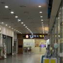 스테프핫도그레이킨스몰 | 일산두피관리 일산에스테틱 추천 리본 Reborn 에스테틱 대만족 후기