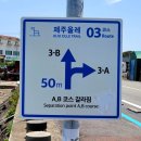 온평환해장성 이미지