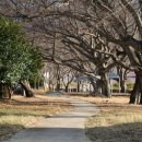 내산리 주민쉼터 이미지