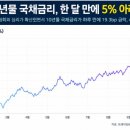 📌유가 114달러 돌파에도 美 국채금리 5% 아래로…AI 불안에 안전자산 강세 이미지