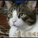 맘바인아프리카 이미지