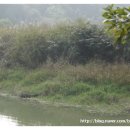 아곡낚시터 이미지