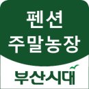 남해금산오토캠핑장 이미지