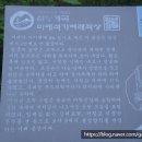 용장1리 이미지