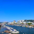 장림항(맛술촌) | 국내 가족 여행 추천 부산 가볼만한곳 장림포구 부네치아
