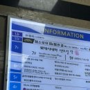 루이에스테틱