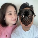 5/18 남편 생일 뿌수기(1): 부산 광안리 비네토(Vigneto)
