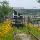 왕송호수공원 이미지