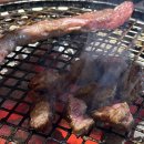 뉴창동화로숯불구이 | 발산역 맛집 우상화로구이 발산역점 가족외식 고기집