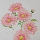 평생학습센터 색연필로 표현하는 나만의 그림여행 | 대구동구평생학습센터 색연필보타니컬 강좌 자격증3급 과정 보타니컬아트 식물꽃그리기 수업 합니다