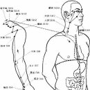 심장경 혈자리 도해.. 이미지
