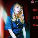 와이31