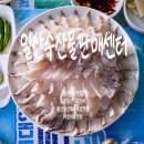 씨유 동구참좋은점 | 울산동구맛집 오션뷰가 보이는 야장하기 좋은 회센터 일산수산물판매센터