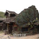 하늘청과 - 익산시 무왕로19길 63 | 하늘청과