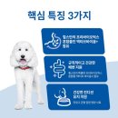 퍼펙트바이트 이미지