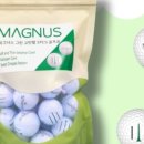 주식회사더골프 이미지