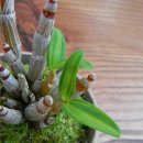 석곡농장 이미지