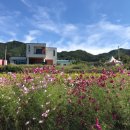 소양강가든 이미지