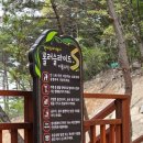 초록숲공원 이미지