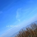 남해상사 | [마크산행] 남녘 남해 금산&amp;설흘산으로 봄마중