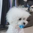 순독살롱 이미지