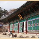 해인사 본당을 대적광전이라 부르는 이유