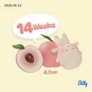 명객양꼬치 | 내 입맛 / 흑백요리사 철가방요리사 도량 메뉴추천 / 얼스빕 예약방문 솔직후기 / 튤립천국 서울식물원