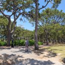 ● <b>조선일보</b> 논설위원 金大中 칼럼