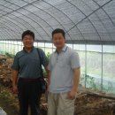 상사농장 이미지