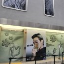 지디컬렉션