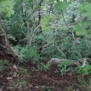 주생면 상도마을 이미지