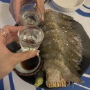 황금손 유쾌한 회 세꼬시 | 동명동 술집 추천 | 물대포, 생새우회 먹고 버터구이까지?!