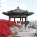 판교 인공암벽장 이미지