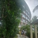 우림호텔 | 세부 두짓타니호텔 숙박 후기