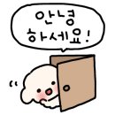 (주)노즈워크 이미지