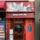 고양이카페 루프캣미 명동점 이미지