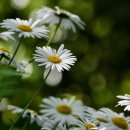 세창수지 이미지