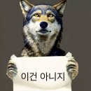 굿플러스형곡2점마트 | 3번의 위기탈출 넘버원 (이라 쓰고 오사카 4박5일 여행이라 읽는다)