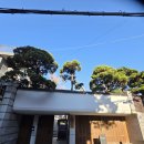 FRIENDS | FRIENDS + STARBUCKS 팝업 후기스타벅스 장충라운지R점 프렌즈 콜라보 방문기