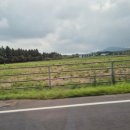 삼관목장 이미지