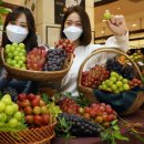 신세계청과 이미지