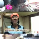 동물농장 이미지
