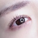 서현가든 | 분당 서현 속눈썹 오아스 후기(브론즈가든 서현)