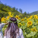 차다목장 이미지