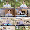 신성환경 스포츠경향