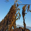 완도참전복집 이미지