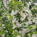 영덕중고등학교 이미지